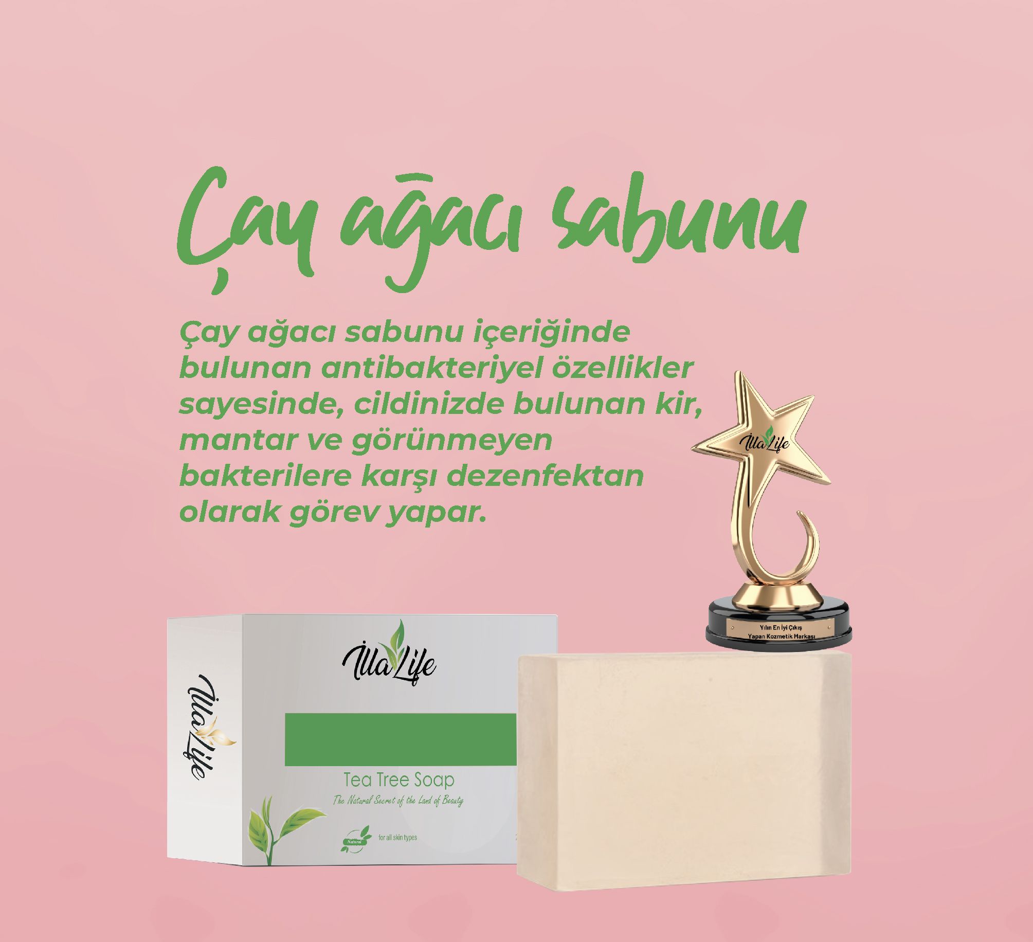 - Sayfa 24